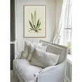 thumbnail image 5 of Marmont Hill "Curtis Ferns III" Framed Painting Print, 5 of 6