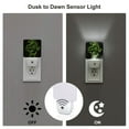 thumbnail image 3 of Sikiie DINOSAUR IN SPACE Led Night Light, Warm White,Cool White Lights for Bathroom,Hallway,Bedroom, Kids Room-US, 3 of 7
