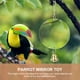 thumbnail image 2 of KAKOWELY Espejo de loro, juguete con diseño de campana, espejo para pájaros, jaula para loros, espejo para pájaros, juguete para disfrutar solo de los pájaros., 2 of 5