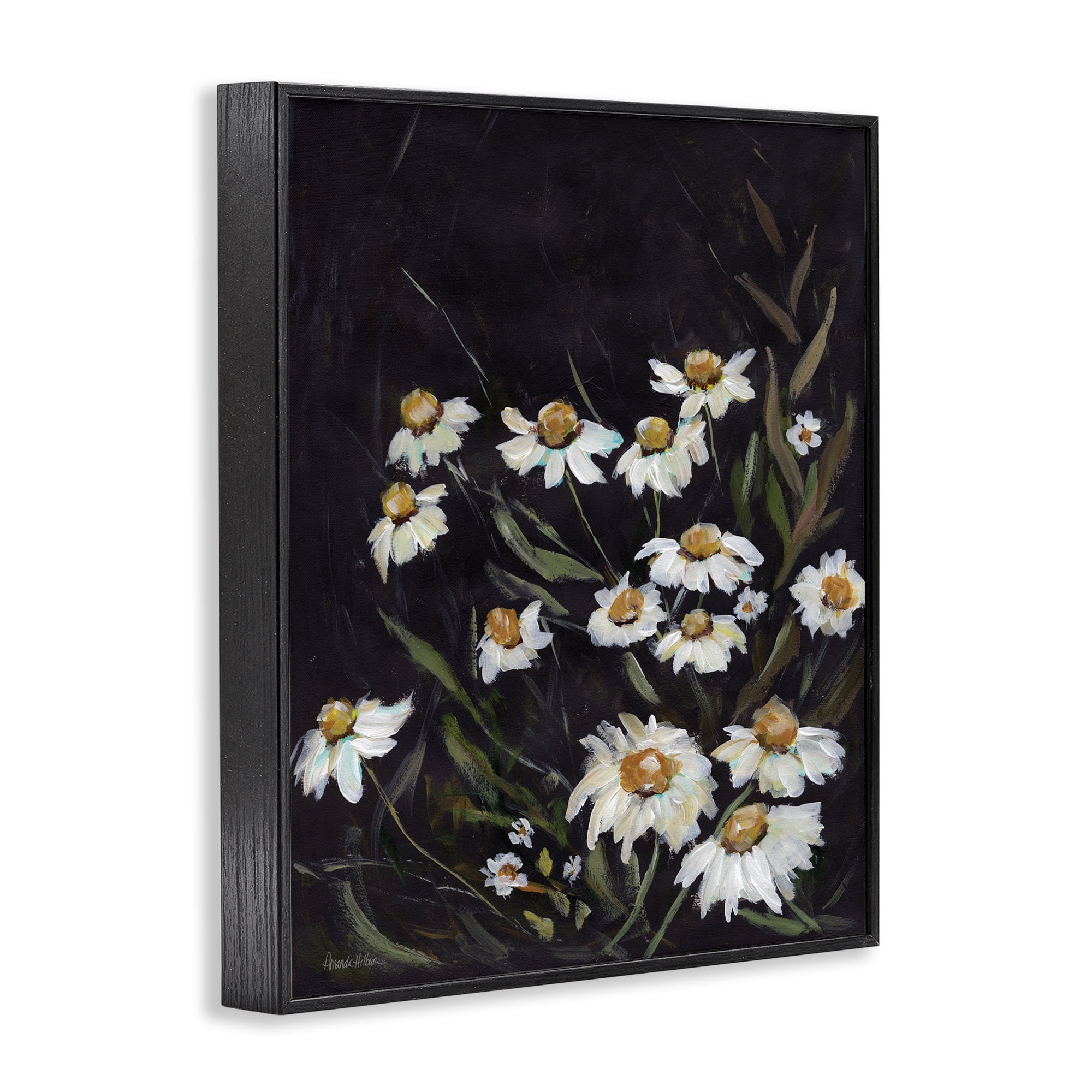 Stupell Industries Daisies on Black Botanical & Floral Painting Black Framed Art Print Wall Art, 24 x 30