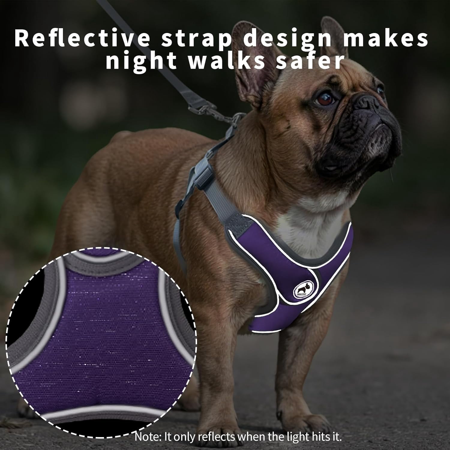 Dog Harness with Leash Set, Puppy Harnesses with Breathable Padded for Small Dogs Walking Escape Proof (XS, Purple)