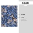 thumbnail image 4 of Crystal Paste 10.4×7.8in Good Viscosity, Bright Color And Eye-Catching Easy To Distinguish For Glass Metal Plastic Animal Print Style Aliceblue_4, 4 of 8