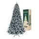 thumbnail image 1 of Árbol de Navidad Frondoso con Ramas Escarchadas, Pino Navideño Esquimal (Verde Oscuro Nevado, 1.60 m), 1 of 6