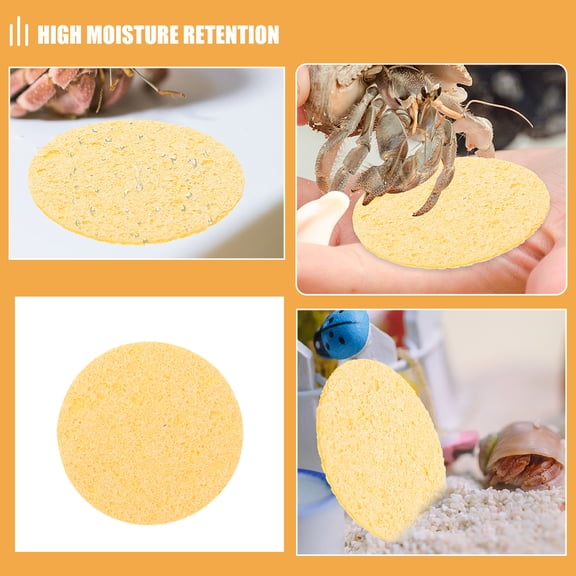 Luxshiny 10Pcs Hermit Crab Water Drinking Sponge Natural Sea Material for Tank Humidity