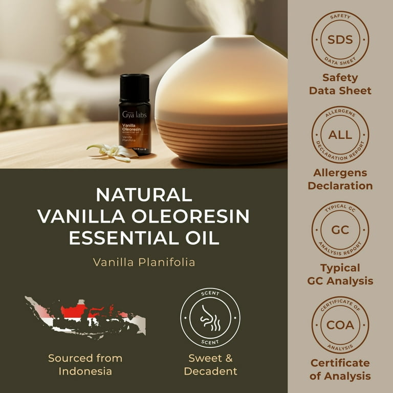 Gya Labs Vanilla Essential Oil for Diffuser - Vanilla Oleoresin Essential  Oil - Vanilla Essential Oil for Skin - Long Lasting Vanilla Oil Perfume  (0.34 fl oz) 