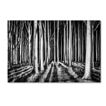 Pixxelpark 'Ghost Forest' Canvas Art