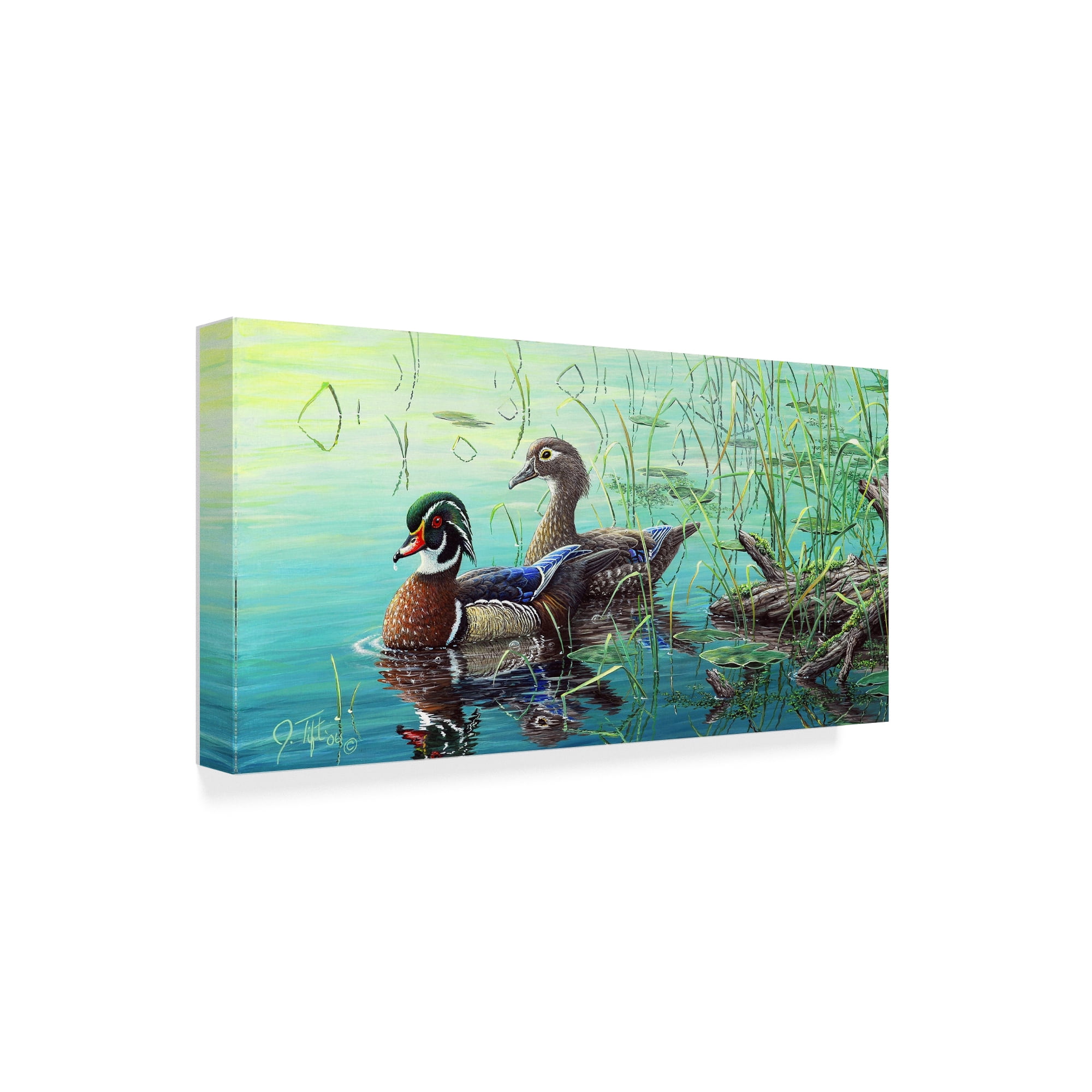 Trademark Fine Art 'Wood Ducks' Canvas Art by Jeff Tift