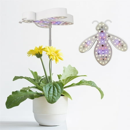 

Cacfwgk Garden Light LED Angel Ring Succulent Plant Light LED Bonsai Plant Light Percent Stage Dimmable Brightness 4/8/12/18H Timer And 5 Dimmable Levels.