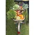 thumbnail image 4 of Milorganite Organic Nitrogen All Purpose Long Lasting Fertilizer, 6-4-0, 5 Lb., 4 of 6