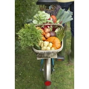 Milorganite Organic Nitrogen All Purpose Long Lasting Fertilizer, 6-4-0, 5 Lb.