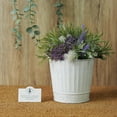 thumbnail image 2 of Hosley Pack of 2 White Wash Metal Planters, 5" Diameter x 4.8" High Rustic Farmhouse Buckets for Floral Arrangements, Weddings, Parties, Events & Home Décor, 2 of 6