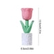 thumbnail image 4 of Cheapark Preserved Florals Night Light Mini Ambient Lamp Soft Glow for Gift Home Accents Valentine's Day Festive Romantic Decorat ion, 4 of 7