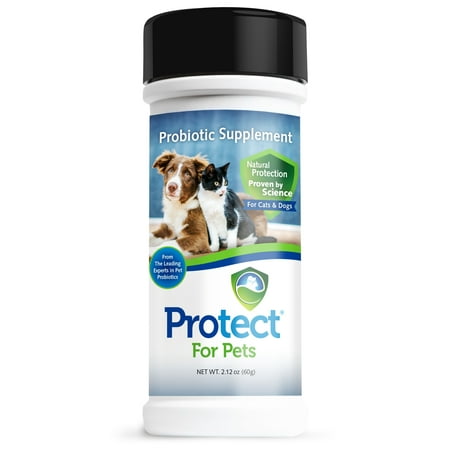 Protect for Pets Probiotic Digestive Health for Cats and Dogs, 2.12 (Best Probiotics For Dogs And Cats)