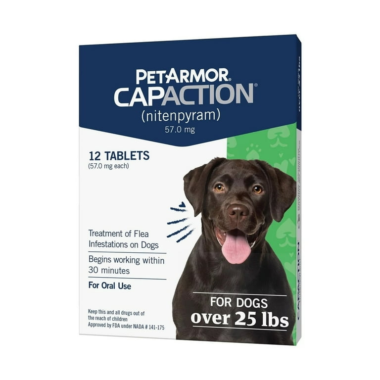 Dog flea medication best sale walmart
