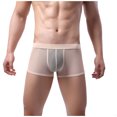 thumbnail image 1 of Gibobby Lencería para sexo Ropa interior de malla para hombres Deportes Cintura media Hombres Ocio Ropa interior sexy Íntimos transpirables(Café, XL), 1 of 5