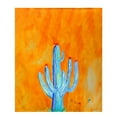 thumbnail image 1 of Betsy Drake BK1110 Grand Cactus Lancer de Polaire, 1 of 1