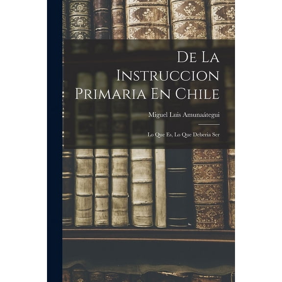 De La Instruccion Primaria En Chile: Lo Que Es, Lo Que Deberia Ser (Paperback)