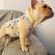 thumbnail image 5 of Ropa de chaleco de enfriamiento con patrón de sandía lindo de poliéster para perros para mascotas Bulldog francés (L), 5 of 8