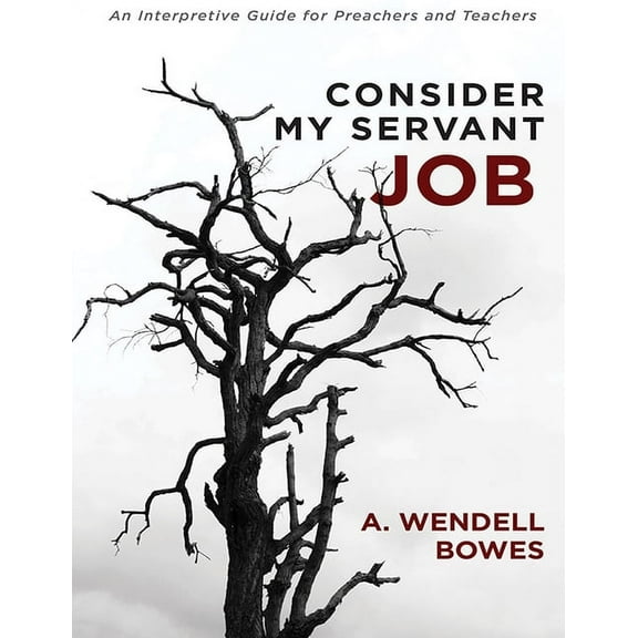 Consider My Servant Job: An Interpretive Guide for Preachers and Teachers, (Paperback)