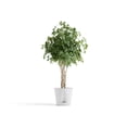 thumbnail image 3 of Ecopots Venice 2 Durable Modern Round Indoor/Outdoor Recycled Based Composite Flower Pot Planter w/ Water Reservoir, Pure White, 16", 3 of 4
