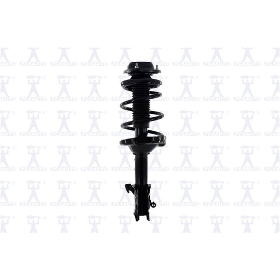 Suspension Strut and Coil Spring Assembly