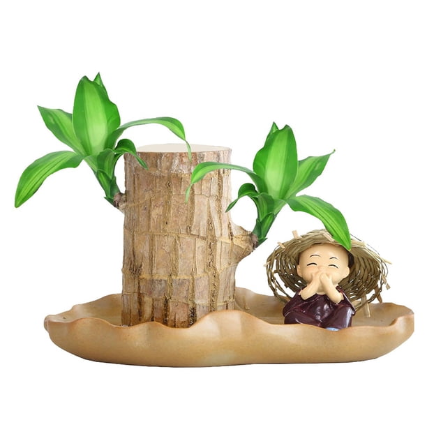 Plantas en macetas de madera brasileñas con estatuilla de monje Plantas de tocón de árbol hidropónico