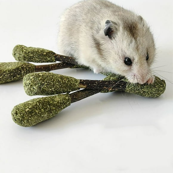 Rabbit Chew Sticks, Alfalfa Grass 5PCS Interactive Rabbit Chew Toy Teeth Grinding Promote Digestion for Squirrels for Chinchillas