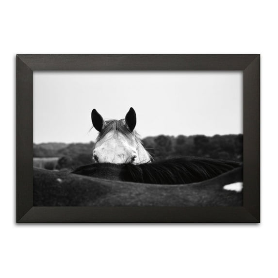 Gango Home Decor Contemporary Flirt by Aledanda (Ready to Hang); One 18x12in Black Framed Print