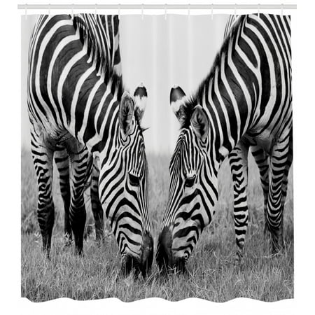 Animal Shower Curtain Zebras African Wildlife Burchell Safari