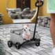 thumbnail image 1 of Carrito para mascotas Fernando Cochecito para perros gris, 1 of 8
