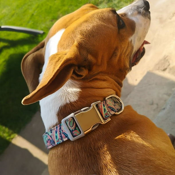Dog collar printed name sales
