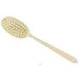 thumbnail image 1 of Bernard Jensen - Brosse Naturelle pour le Corps à Poils, 1 of 3