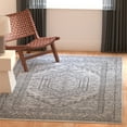 thumbnail image 4 of Safavieh Adirondack Xavier Oriental Area Rug, Light Gray/Dark Gray, 3' x 5', 4 of 15