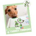 thumbnail image 4 of Nature Gnaws Natural USA Turkey Tendons for Dogs (1 lb) Rawhide-Free Pet Chew Treats, 4 of 7