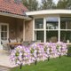 thumbnail image 4 of Flores para la Decoración Flores Simuladas, Lirios, Decoraciones de Jardín, Árboles de Eucalipto, Flores Simuladas, Verde Simulado, 4 of 6