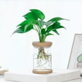 thumbnail image 1 of 1PCS Clear Hydroponic Flower Pot Planter For Grow Small Potted Plants, 1 of 8