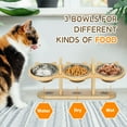 thumbnail image 6 of Adjustable Height Stainless Steel Elevated Food & Water Bowl Set with Bamboo Shelf for Cats, (3 Pack), 6 of 7