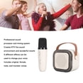thumbnail image 6 of Portable Karaoke Machine with Wireless Microphone and LED Lights, Mini Bluetooth Karaoke Speaker for Kids Adults (14x13x8 inches / 35.6x33x20.3 cm), 6 of 9