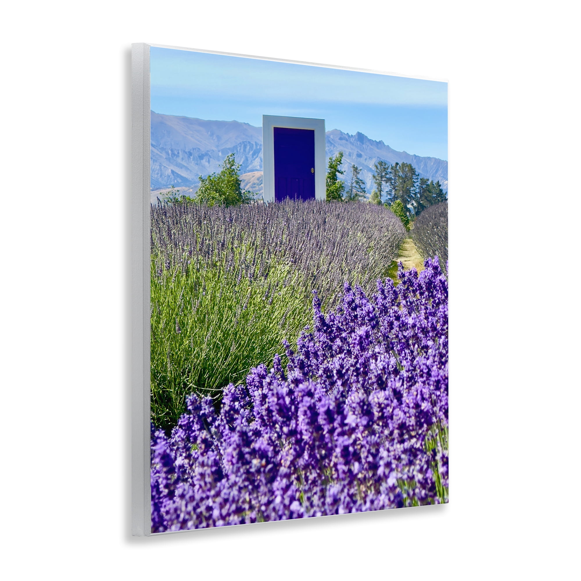 Stupell Industries Surreal Doorway Landscape Landscape Photography Unframed Art Print Wall Art, 11 x 14