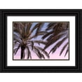 thumbnail image 1 of Artographie Studio 14x11 Black Ornate Wood Framed with Double Matting Museum Art Print Titled - Palm 012, 1 of 4