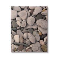 Various Beach Pebbles Composition Coastal Photograph Gallery Wrapped Canvas Print Wall Art