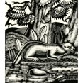 thumbnail image 2 of Tarka The Otter Poster Print By Mary Evans Picture Librarypeter & Dawn Cope Collection (18 X 24), 2 of 4