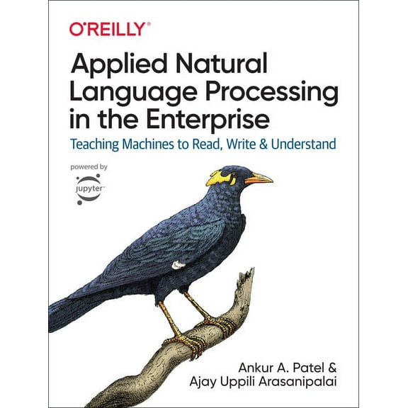 Applied Natural Language Processing in the Enterprise: Teaching Machines to Read, Write, and Understand (Paperback)