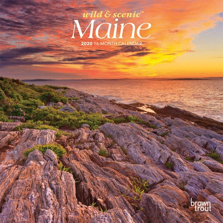 Maine Wild & Scenic 2020 7 x 7 Inch Monthly Mini Wall Calendar, USA United  States of America Northeast State Nature - Walmart.com