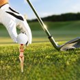 thumbnail image 3 of 6pcs Plastic Pin up Golf Tees Novelty Design and Interesting Suitable For Golf Lovers, 3 of 7