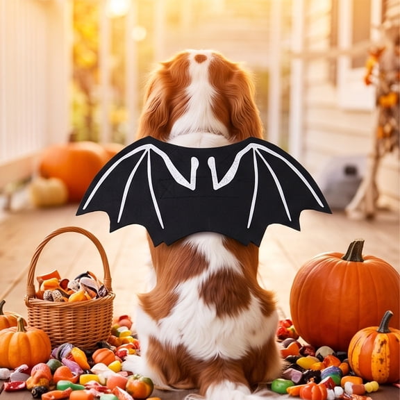 Clearance Pet Halloween Bat Wings Size S, Lightweight Felt Dog Costume for Cats and Dogs, Party Dress Up, 1 Pack