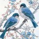 thumbnail image 1 of Kit Con Forma Especial Parcial 5D DIY Pájaros 30x30cm, 1 of 9