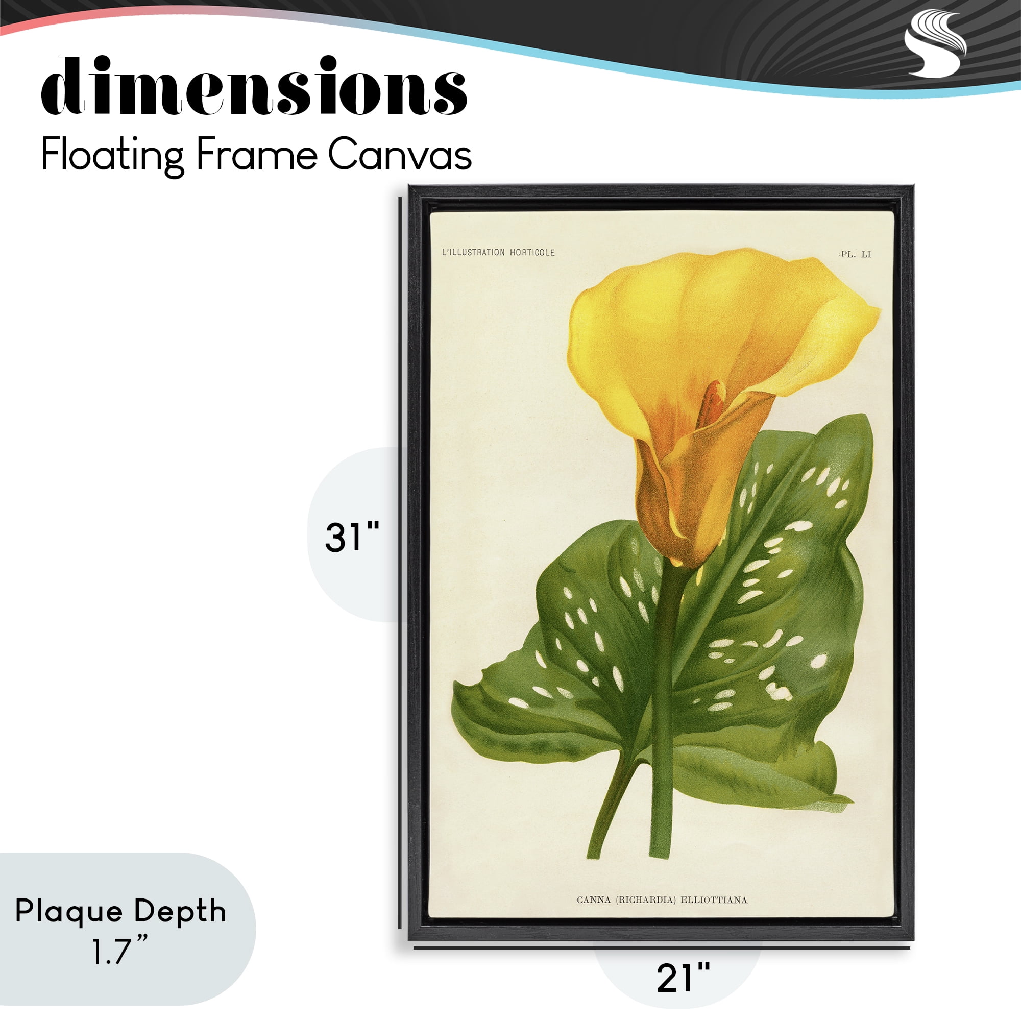 Stupell Industries Yellow Canna Lily Black Framed Floater Canvas Wall Art, design by Print Collection