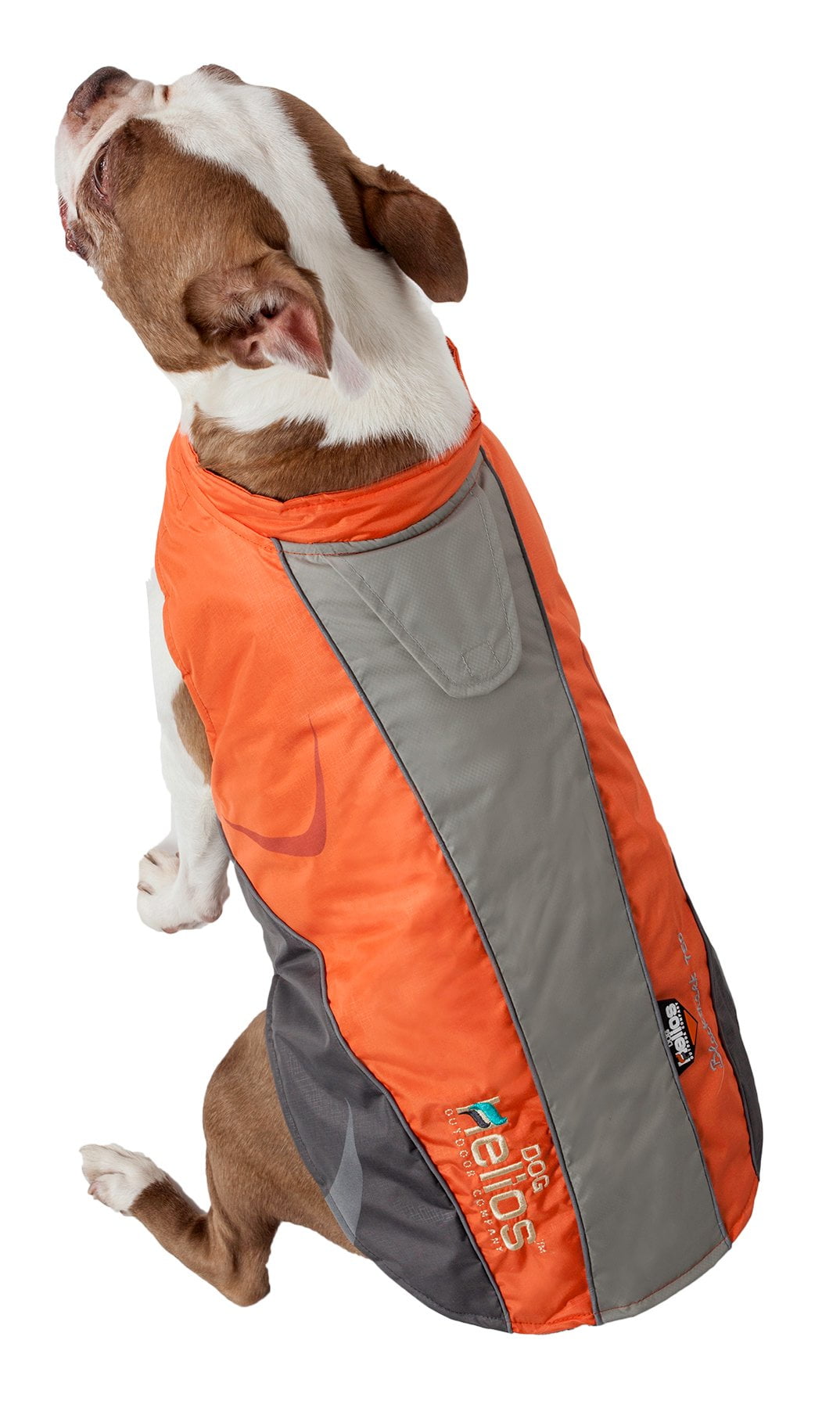 The dog coat clearance company