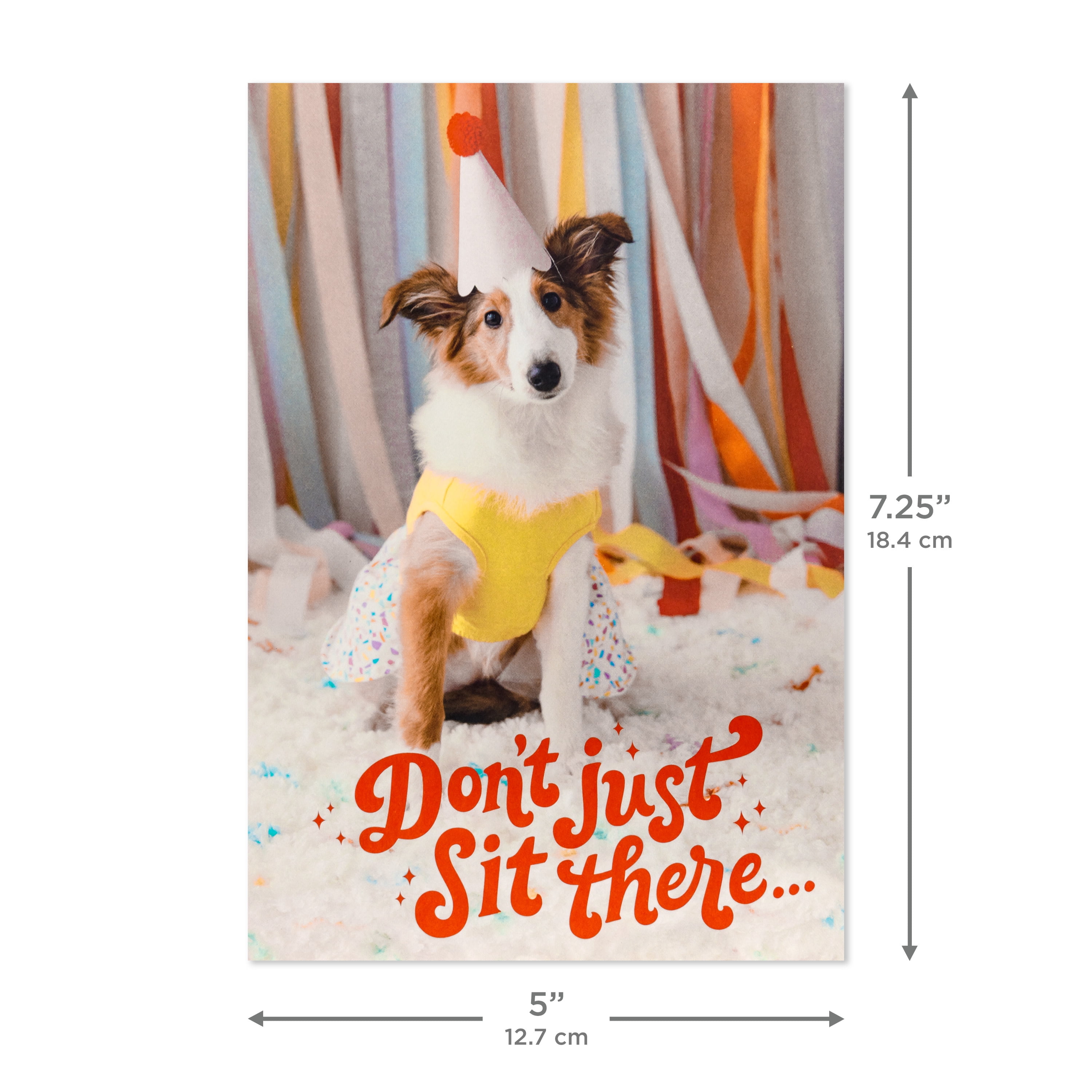 Hallmark Birthday Cards (Party Pets), 12 Count